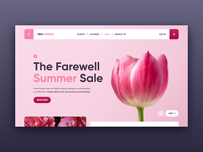 ProFlower web site concept