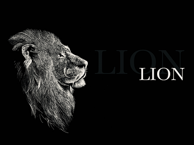 LionLion 插图