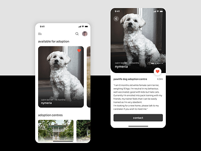 Pet Adoption App