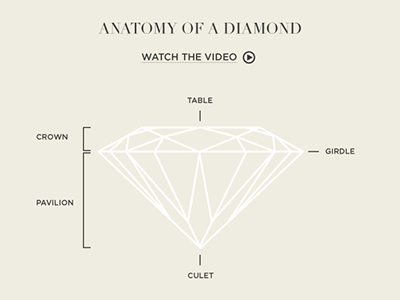 Anatomy of a Diamond illustration anatomy chart diamond illustration