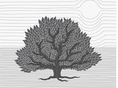 Oak illustration