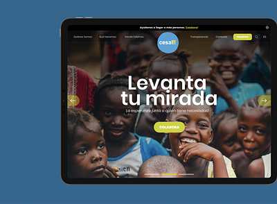 Cesal NGO interface spain ui web webdesign