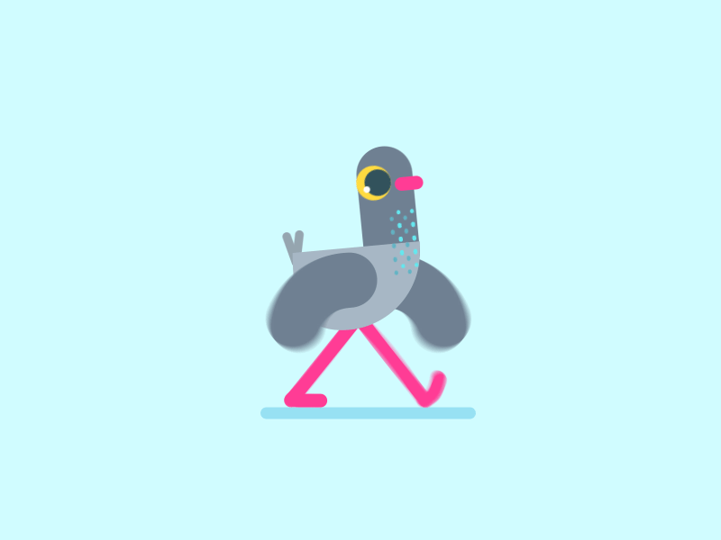 Pigeon On His Way cycle walk pigeon