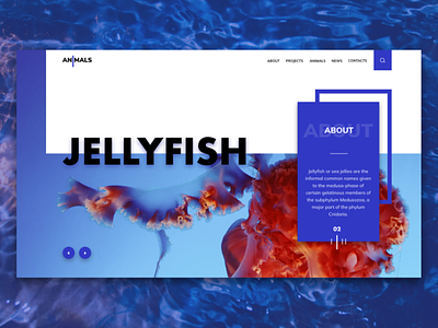 #Things 25 - Sketch animals branding concept design digital interface jellyfish sea sketch ui uidesign userexperiance userexperiencedesign userinterfacedesign ux ux ui design web website