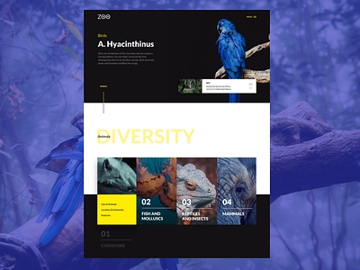 #Things 31 - Sketch animal animals branding concept design digital interface sketch typography ui uidesign userexperiance userexperiencedesign userinterfacedesign ux ux ui design web website website concept zoo