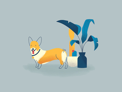 Corgi blue and yellow cactus corgi corgis corgo dog dog illustration lines plants