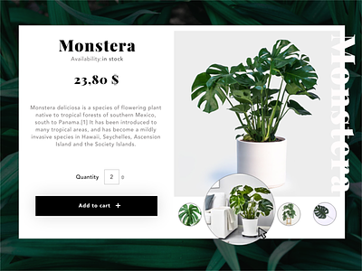 My UI Daily #012 Single Product add to cart e-commerce monstera deliciosa single product page ui daily 12