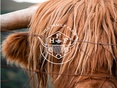 Hull Family Farm badge logo branding branding and identity family owned highland cow monoline small business