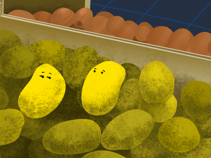 Potatoes affinitydesigner after effects animation illustration texture