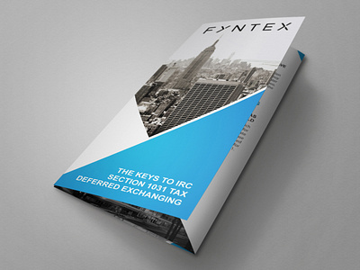 Professional Trifold Brochure