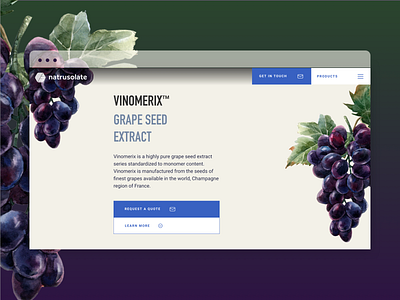 Natrusolate Design - Grape page design product landing product page responsive responsive website ui ux website design