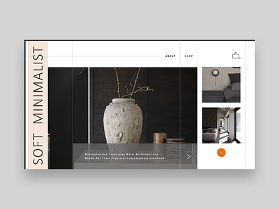 SOFT clean concept design e commerce homepage landing minimal ui ux website