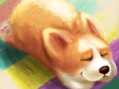 solar Corgi brush illustration photoshop wacom cintiq