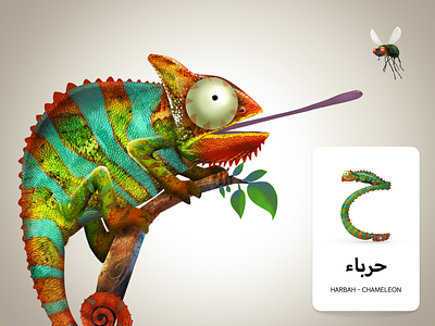 Adventures Of Zee Arabic Flash Cards character design childrens book design educational flash cards illustration print design