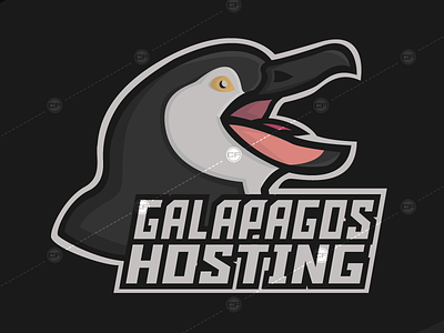 Galapagos Hosting chrisfoster2d galapagos hosting illustrator logo mascot penguin vector
