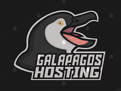 Galapagos Hosting