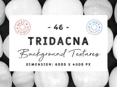 46 Tridacna Background Textures