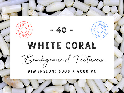 40 White Coral Background Textures