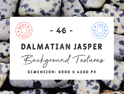 46 Dalmatian Jasper Background Textures backdrop background backgrounds dalmatian dalmatianjasper dalmatianjasperbackground dalmatianjaspertexture design jasperpattern pattern patterns surface surfaces texture textures