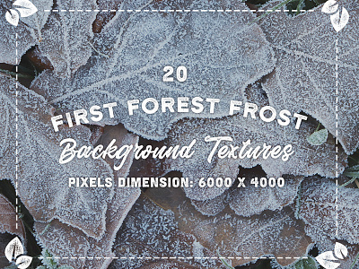 20 First Forest Frost Background Textures Header Behance Copy cold frost frosty grass green ice natural nature plant season weather winter