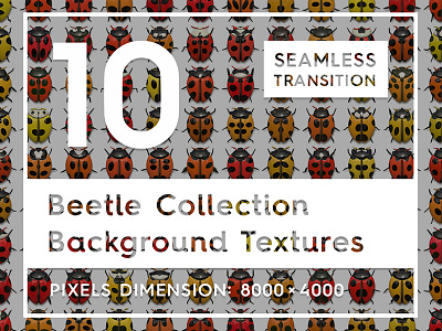 10 Beetle Collection Background Textures