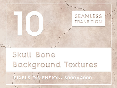 10 Skull Bone Background Textures abstract anatomy background natural nature pattern rough seamless skeleton skull texture tileable