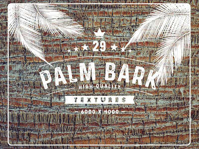29 Palm Bark Textures