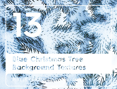 13 Blue Christmas Tree Background Textures background beauty blue christmas tree backgrounds blue christmas tree pattern blue christmas tree surface blue christmas tree texture brunch christmas evergreen fir forest green macro natural nature park tree white wood year