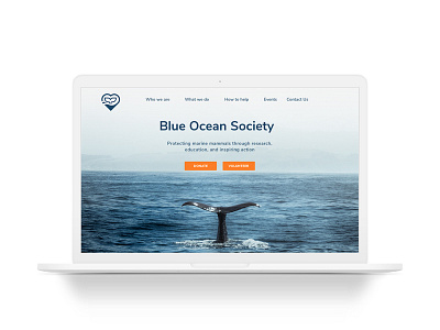 Blue Ocean Society design ui ux web