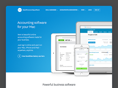 Accounting software for your Mac