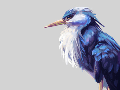 Bird Study digital painting fantasy illustration