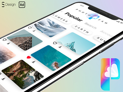 Free concept of photostock mobile app — Adobe XD design freebie ui xd