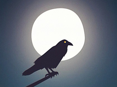 Raven bird branch claws creepy evening evil eye glow horror moody moon night raven sky stare