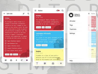 Notes App Concept app card concept icon interface menu note red tag text edit todo ui
