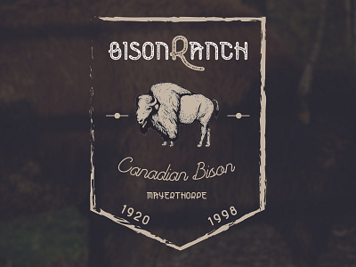 Bison Ranch Logo animal badge bison black branding design drawing icon illustration lettering logo retro tree type typography ui vector vintage