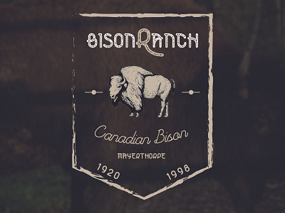 Bison Ranch Logo