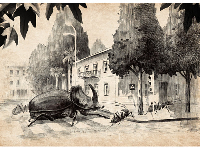 Beetles animal ant beetle bw city drawing illustration insect palm road street tree