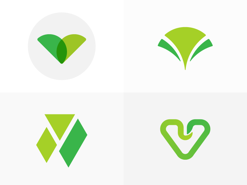 Ginkgo ginkgo graphic icon logo sandor