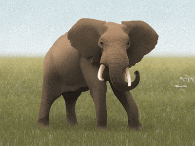 Untitled animal animal protection bone drawing elephant grass grassland illustration painting sandor wild animal