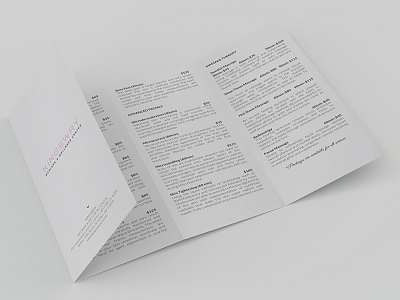 Four Panel Fold Brochure Design brochure brochure design professional brochure design