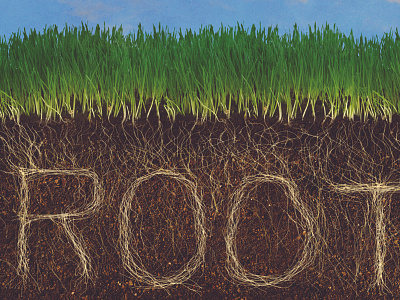 Roots dirt flatirons flatirons community church grass roots series
