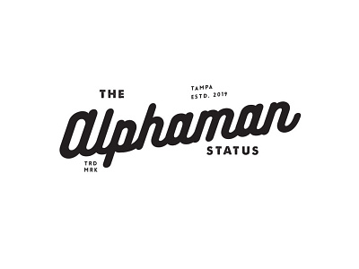 Alphaman branding design graphic graphic design identity logo logo design miami technology