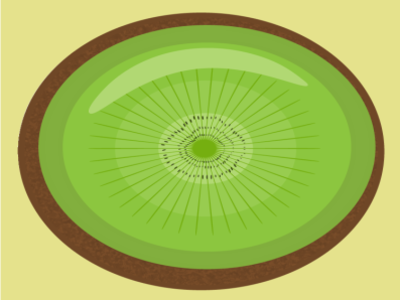 KIWI clean color colorpalette colors concept design fruits green illustration kiwi kiwifruit minimal plants