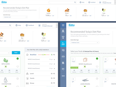 Wellness App diet plans fitness ui user experience design user interface design ux visual design wellness