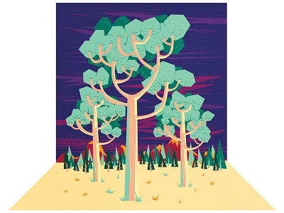 Display forest illustration minimalist test tree vector