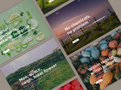 Organic Food - Landing Pages landing page organic organic food photo product design ui unsplash web webdesign website website design