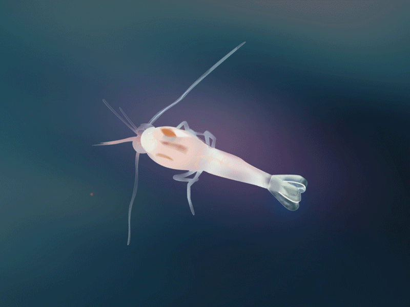The Deep, Dark Unknown blue crab creature eel glow illustration painting sea shrimp translucent transparent underwater