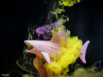 Shark through the Creative things! colorful photography shot styling toy water