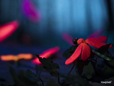 Glowing insects in the night forest