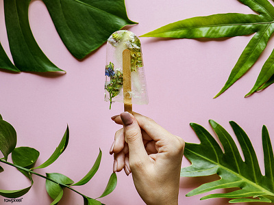 Homemade summer wildflower ice pop